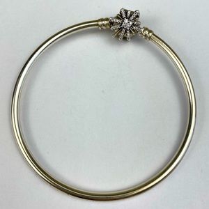 Pandora Limited Edition Fireworks Bangle